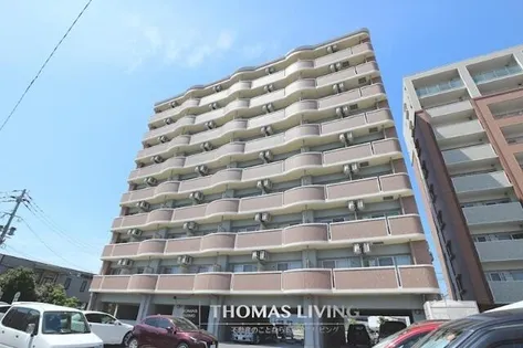 グランド・コスモ【8階】の外観