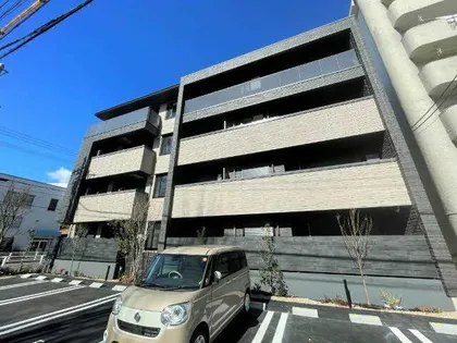 プルメリアの画像