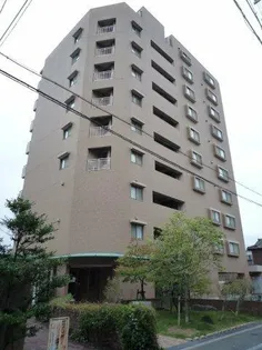 ラフィール心音の画像