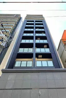 セリーニオルニスの画像