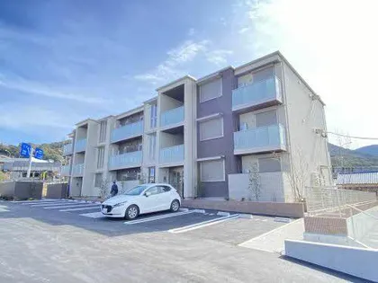 SHAMAISON VIVACEの画像