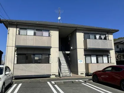 ディアス木の花の画像