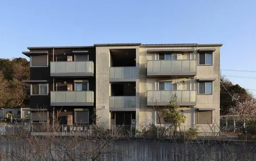 プリムローズの画像