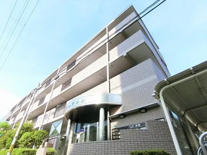 大阪府堺市堺区北庄町3丁【マンション】の外観