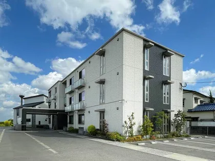 カリーノの画像