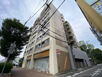 シャンブルクイセの画像