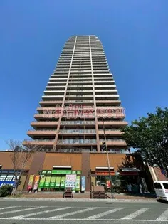 ザ ライオンズ久留米ウェリスタワーの画像