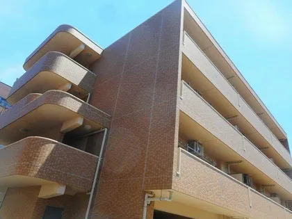 アクティフ丸米の画像