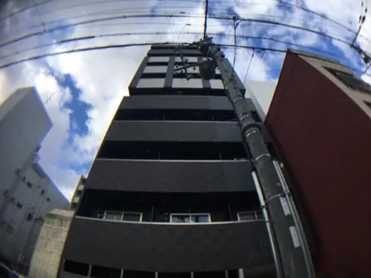 THE BLACK FORTの画像