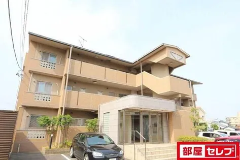 フォレストYの画像