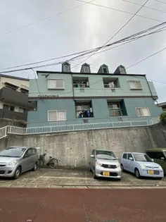 カンステレイションⅡの画像
