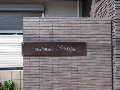 SHAMAISON FRISEの画像