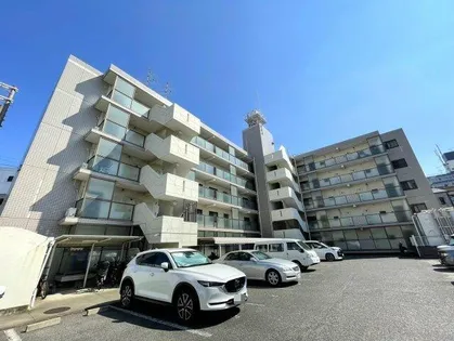 アドニスの画像