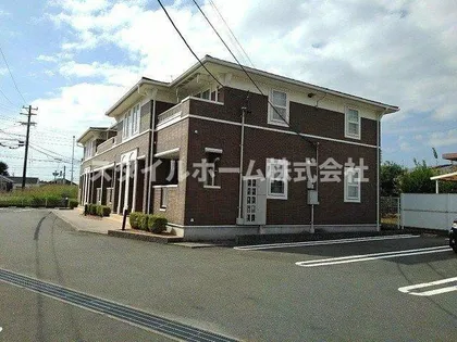 プリムローズBの画像