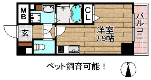 Irene Square【5階】の間取り