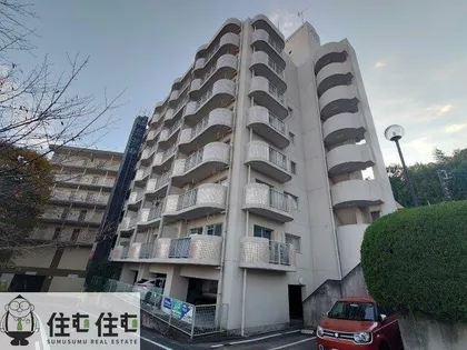 小坂プリンシアの画像