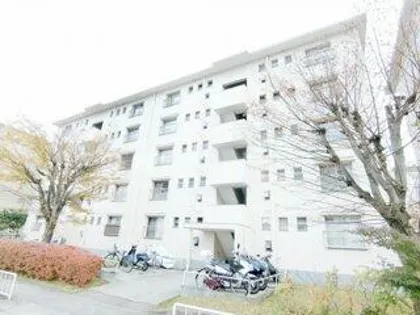 泉北桃山台第二団地26号棟の画像