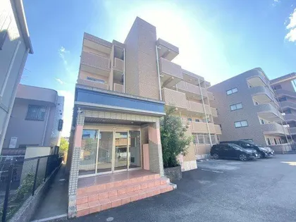 コースマスYMの画像