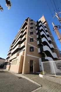 ラフィネセオミの画像