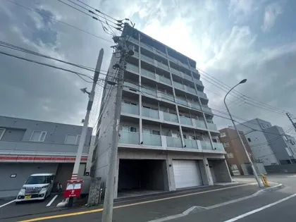 ブランカシータの画像