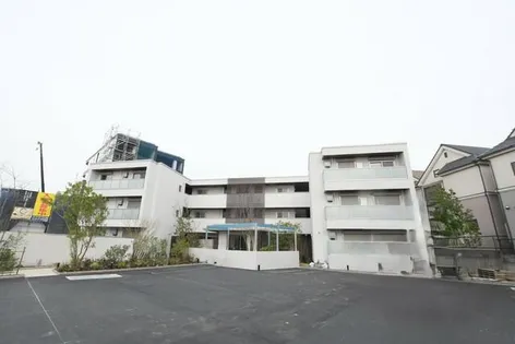 SHAMAISON STELLA RISAIAの画像