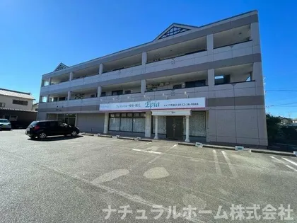 エクセレンス曙の画像