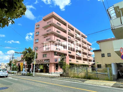 メゾンアルファーの画像