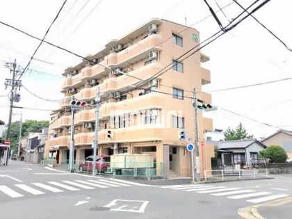 ドール津賀田の画像