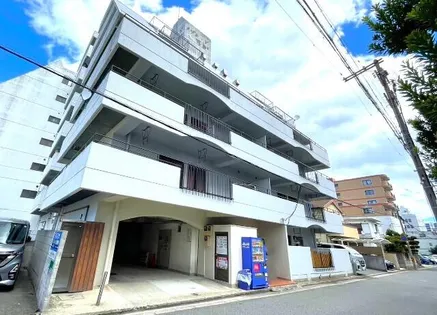 マグノリアの画像