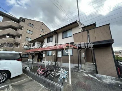 パレスノーヴァの画像