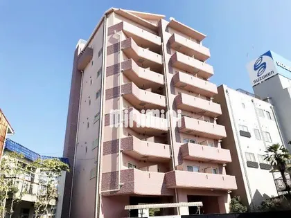 エトワール ポレールの画像