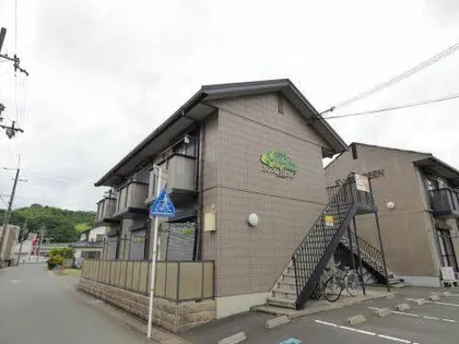 EVER GREENの画像