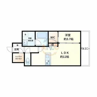 TEAL RESIDENCE BAY【5階】の間取り