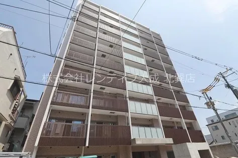 カウニス巽北の画像