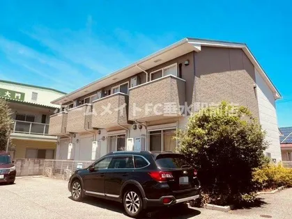 ドゥムールストレチアの画像