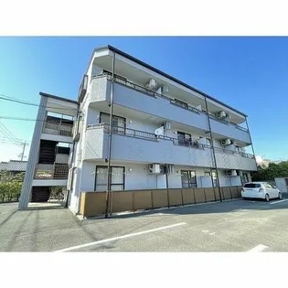 リンピアチトセの画像