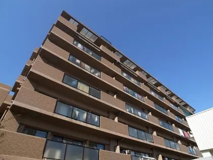 ブルーウィングの画像