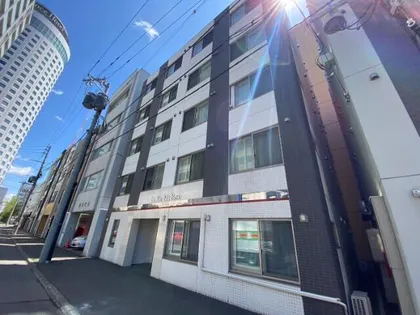 北海道札幌市中央区南三条西12丁目【マンション】の外観