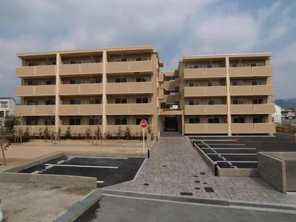 ネオコートの画像