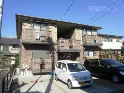 ウィルモア開平の画像