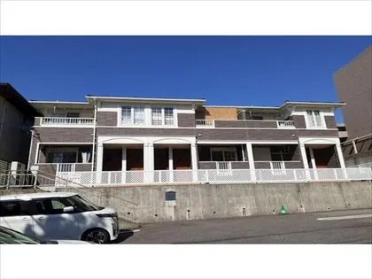 シャロームTの画像
