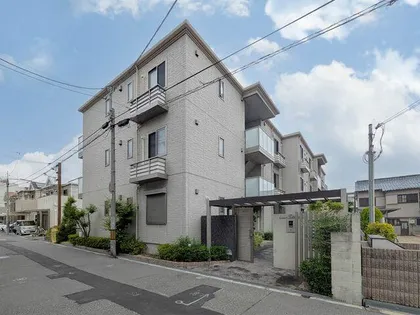 アンシャンテ TATSUMIの画像