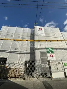 ナティ サウスの画像