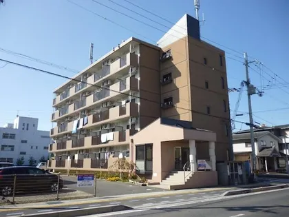 プランドールの画像