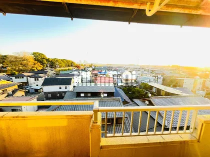 リビュー豊島【503号室】のその他画像