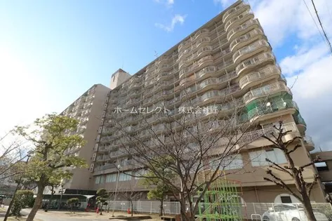 エバーグリーン住吉【3階】の外観