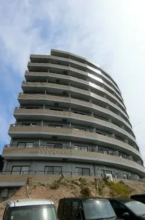 セラヴィ坂崎の画像