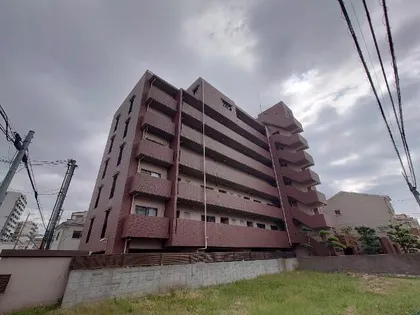 エスメラード ヒコの画像