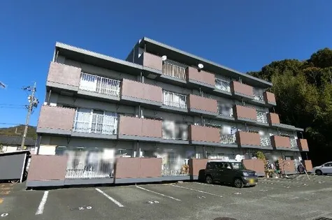 レ ミレジムの画像