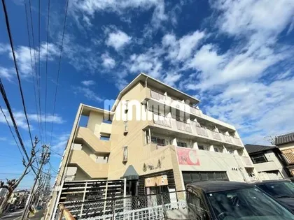 シャトー大根の画像